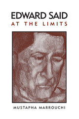 example text 1 Edward Said at the Limits